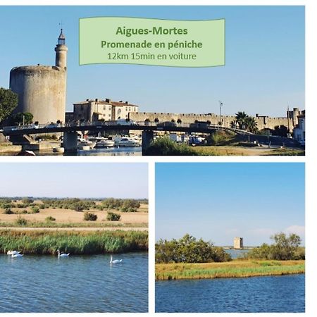 Suite Thalassa 1Ere Ligne Plages Du Couchant Wifi - Rossiconciergerie - Linge Inclus La Grande Motte Dış mekan fotoğraf