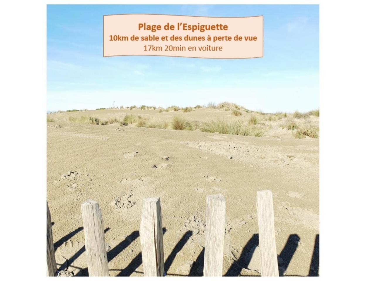 Suite Thalassa 1Ere Ligne Plages Du Couchant Wifi - Rossiconciergerie - Linge Inclus La Grande Motte Dış mekan fotoğraf